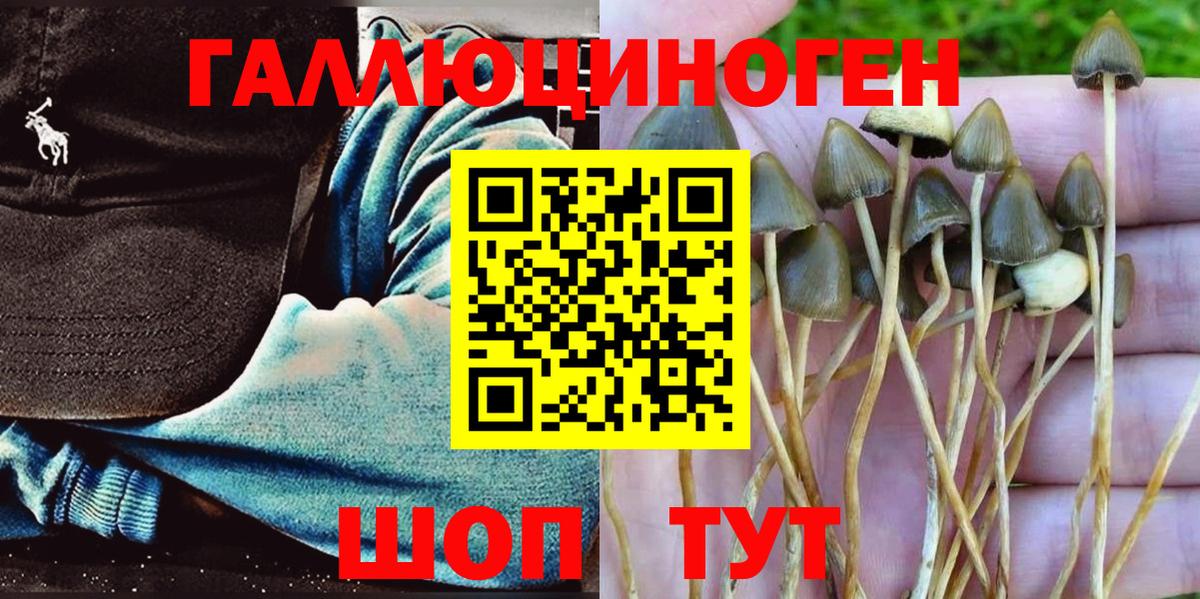 Галлюциногенные грибы Psilocybine cubensis  Псилоцибиновые грибы Psilocybine cubensis  купить   Чехов  Вход с VPN 