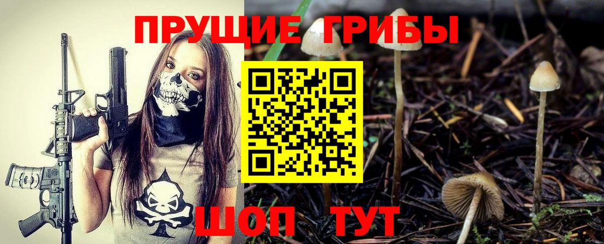 Псилоцибиновые грибы GOLDEN TEACHER Чехов